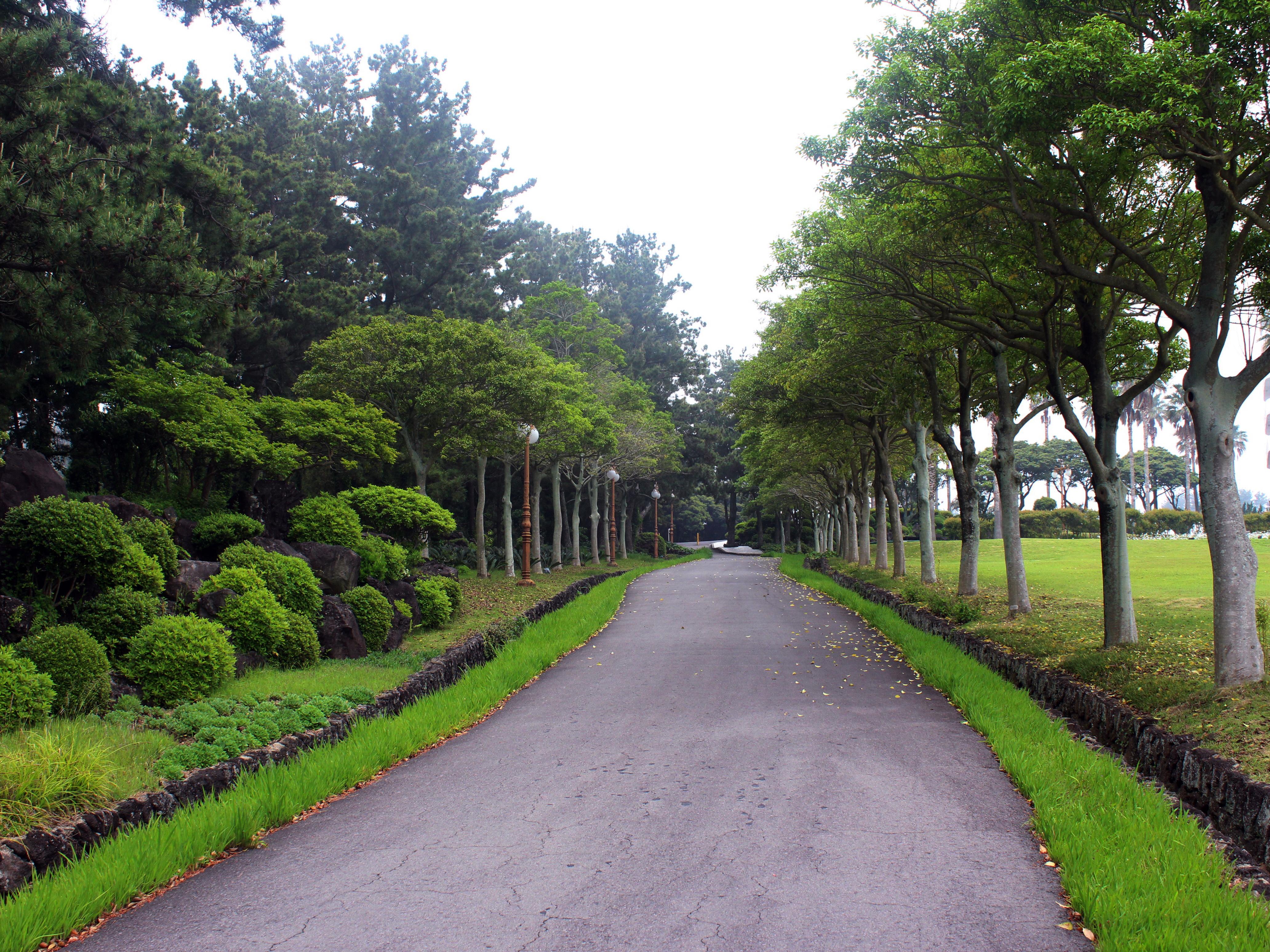 Kal Hotel Seogwipo
